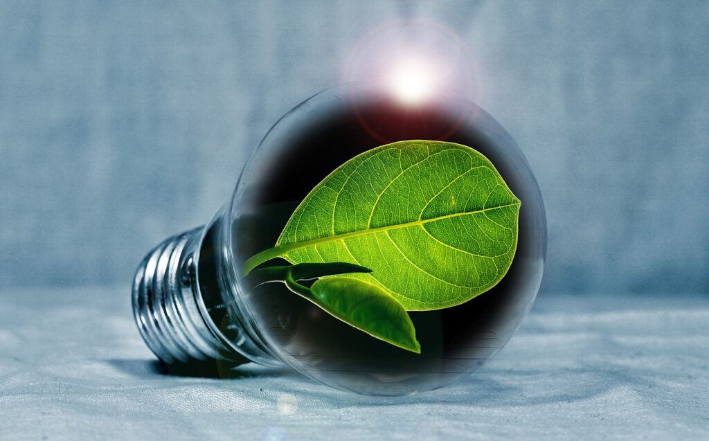 lightbulb, leaf, chlorophyll-2631864.jpg