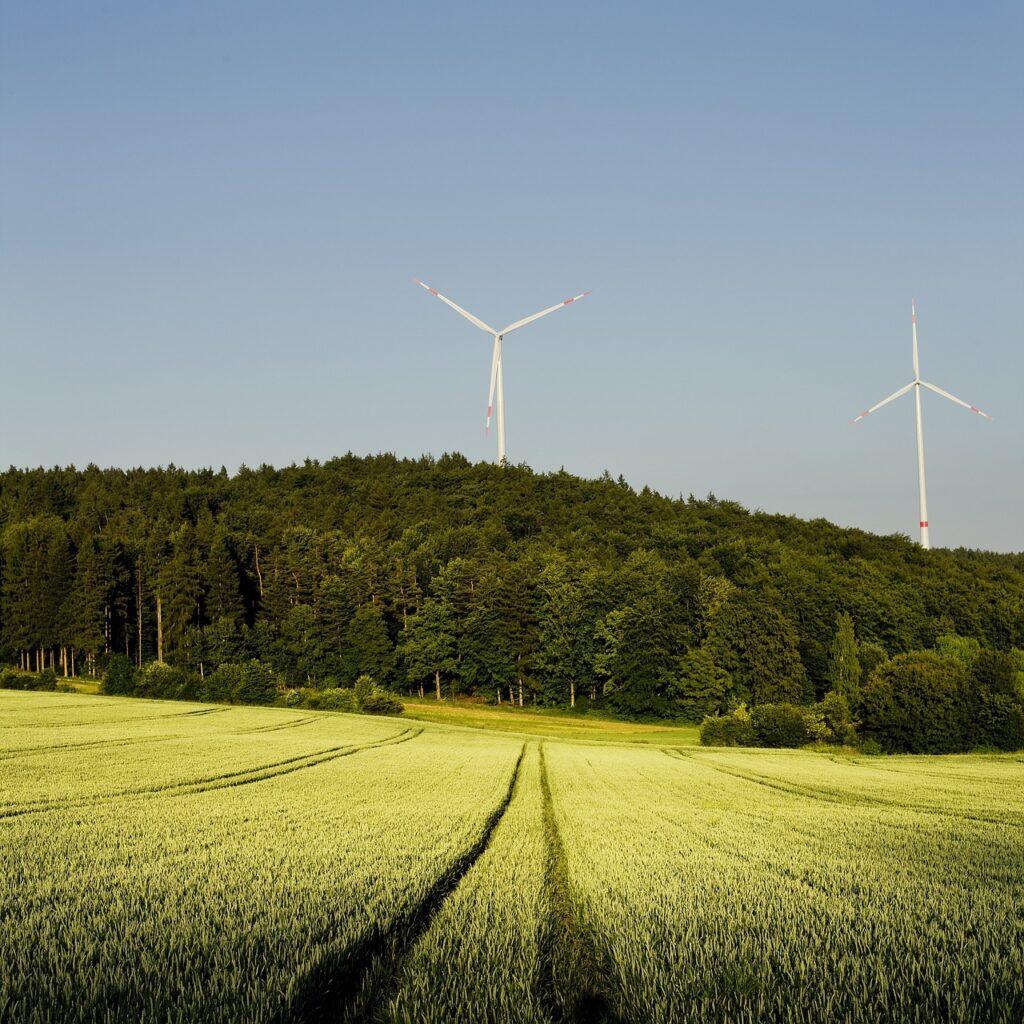 windmill, forest, field-1340072.jpg